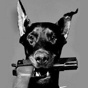 В РЕКАХ