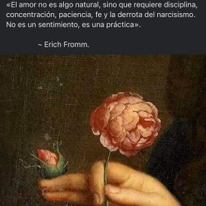  - No hay excusa para el desamor- Resitado
