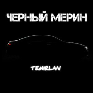 ЧЕРНЫЙ МЕРИН