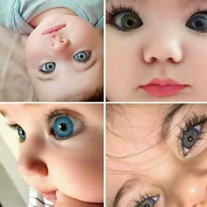IS SEE..