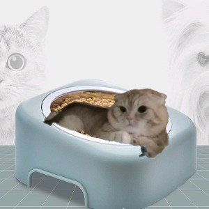 коте мы ке кее ке ееееее коорррррррм