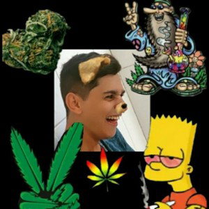 louco pra te amar