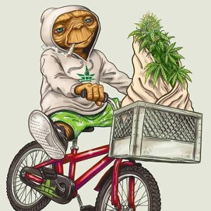 freestyle
