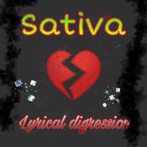 Sativa-Lyrical digression (prod. by. Sativa) 