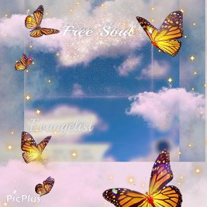 Free Soul 🦋