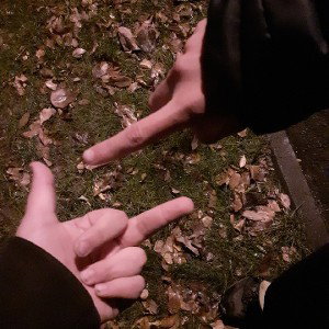 ДИЗ НА СЕРАВА