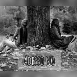 Adesso NO