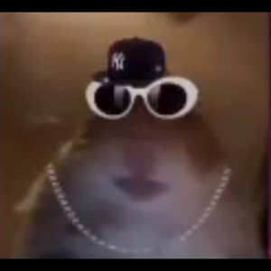 hi