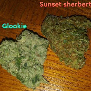 spark it ☝