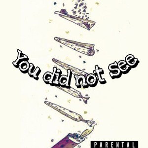 You did not see