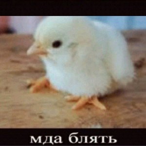 Стремление