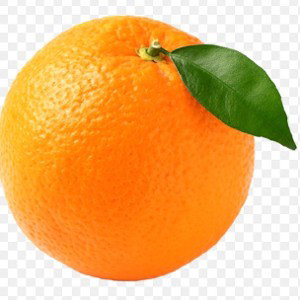 Orange head