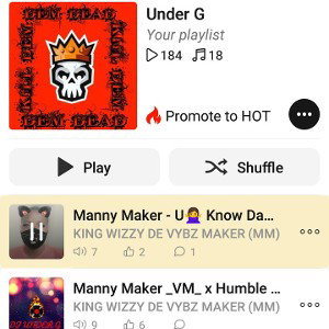 Shatta_Wale_-_Signboard_Instrumental(128k)