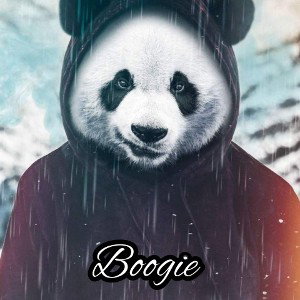 BõõGiE Ñõ MORE