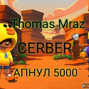Синие фиалки