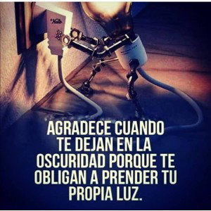decisiones 