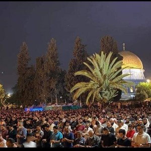 pablo king الحرية لفلسطين ✌