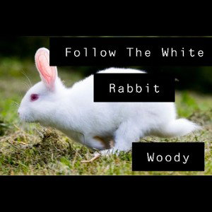 Follow The White Rabbit