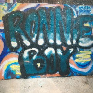 Ronnie Boy 