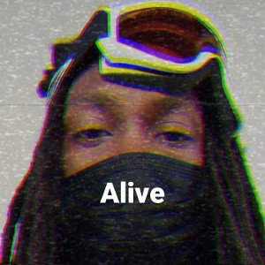 Zen Freestyle 