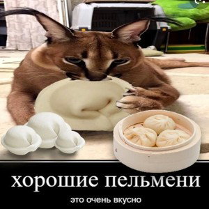 ТУМ БУМ - пельмени шлёпы