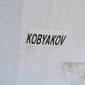 заскамил мамонта