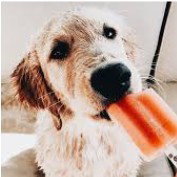 puppies and popsicles