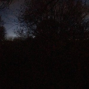 Lonely (18:21:40)