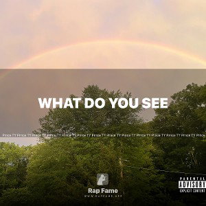 what do you see 
