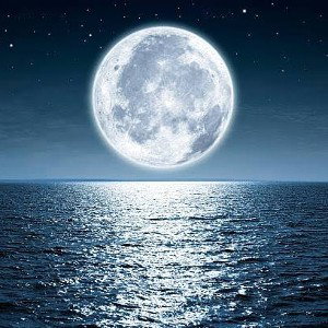 Moonlight 