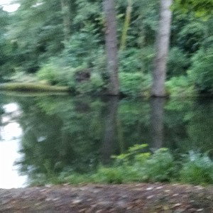 bitte geh 
