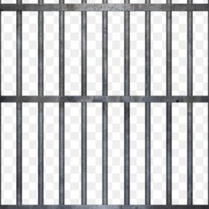 bars 