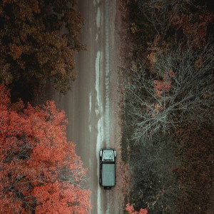 The Path (Ft. Conplicated)