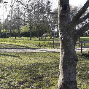 LA TERREUR 