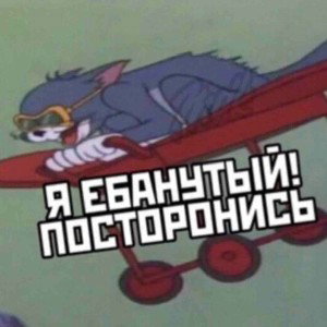 Rat