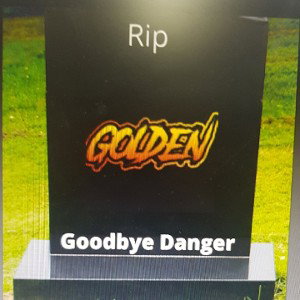 Goodbye danger