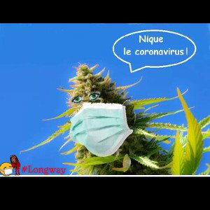 Genem _ Rap First (SBR_PHONE)