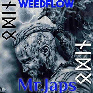 Mr. Japs & Weedflow - Vikings