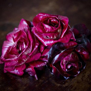 Kalte Rose - Osmon , (VOLLVERSION)
