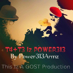 T4+T3 Iz Power313