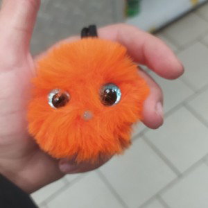 на гоняем суету 