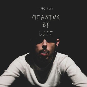 Meaning of Life