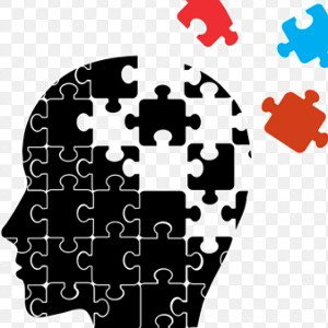 Mind MELDing
