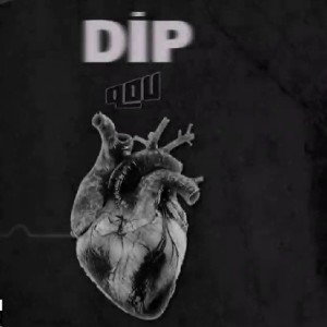 Qdv - DİP