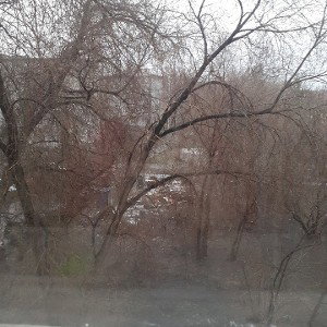 поднявшись верха