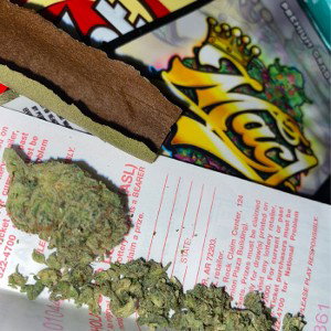 Junkies 