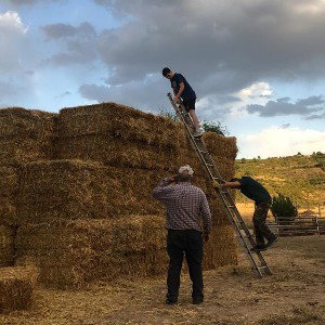 dejarse caer no verlos crecer