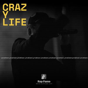 crazy life