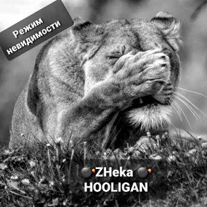 ZHeka HooliGaN - режим невидимости