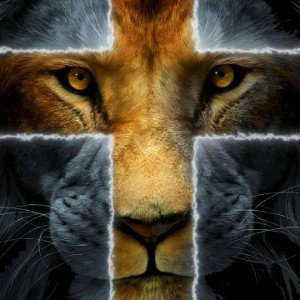 Holy Lion